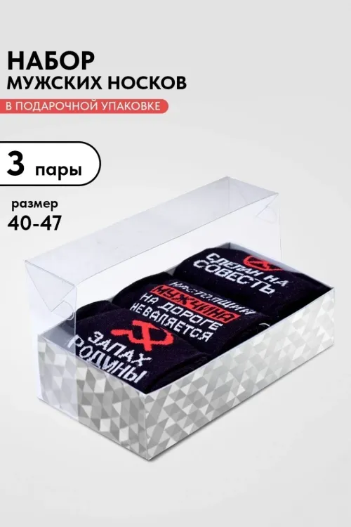 Носки мужские Родина 3 пары последний размер