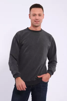 Лонгслив мужской футер двухнитка, Арт. 810
