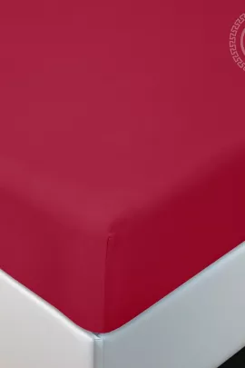 Простыня на резинке "Вишня" 252 120х200х20 252