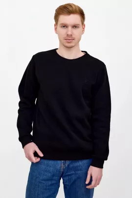 Толстовка мужская  Арт. 8985